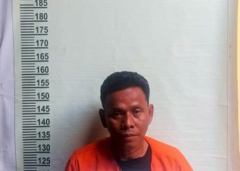 Pelaku Pelecehan Sexual Sesama Jenis Berhasil Diamankan Anggota Polsek Siak Hulu