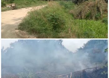Kebakaran Lahan Kebun Sawit PT PALM Diduga Belum Ada Yang Ditetapkan Sebagai Tersangka