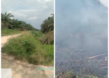 Kebakaran Lahan Kebun Sawit PT PALM Diduga Belum Ada Yang Ditetapkan Sebagai Tersangka