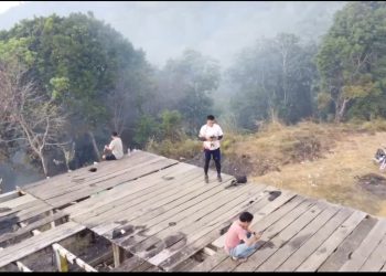 Ratusan Hektare Kawasan Hutan di Rokan Hulu Terbakar, LSM KOREK Riau Desak Penegakan Hukum Tegas