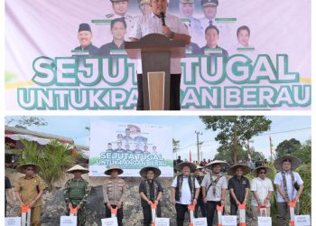 Gerakan Sejuta Tugal di Berau, Pemuda Tani Indonesia Tanam Padi Gogo 2025
