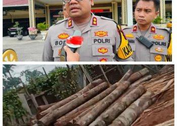 Diduga Kinerja Kapolres Kampar Bobrok Dalam Menindak Sawmill – Sawmill Illegal di Teratak Buluh