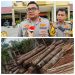 Diduga Kinerja Kapolres Kampar Bobrok Dalam Menindak Sawmill – Sawmill Illegal di Teratak Buluh