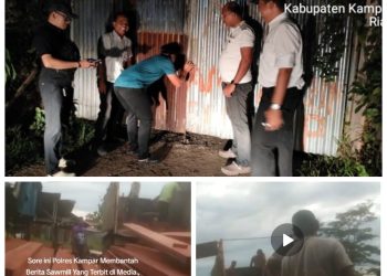 Dibalik Maraknya Aktivitas Illegal Logging di Wilayah Kampar Diduga Ada Peran Oknum Aparat Penegak Hukum, Terindikasi Kinerja Kapolres Kampar Sangat Buruk