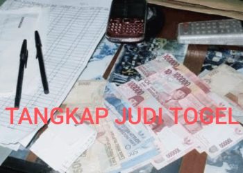 Judi Togel Merajalela..!! Kapolres Pelalawan Segera Tangkap Bos Dan Korlap Pelaku Perjudian Togel