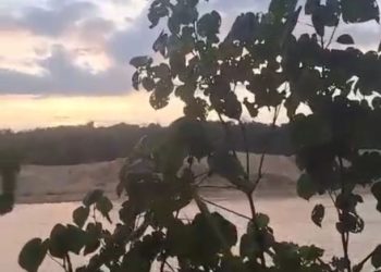 PETI di Sungai Singingi Marak, Diduga Ada Pembiaran dan Bekingan Oknum Aparat   