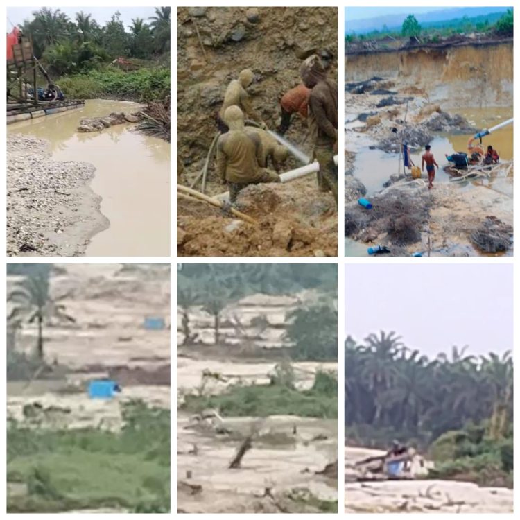 Aktivitas PETI di Kuansing Kian Marak, Diduga Libatkan Oknum Aparat