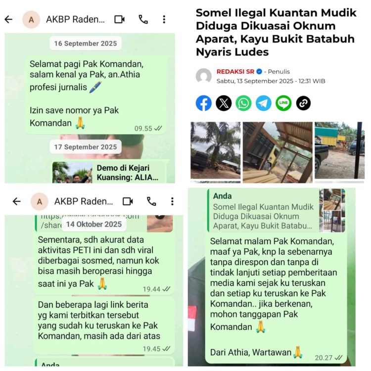 Illegal Logging Marak di Kuantan Mudik, Respon Kapolres Kuansing Dipertanyakan??