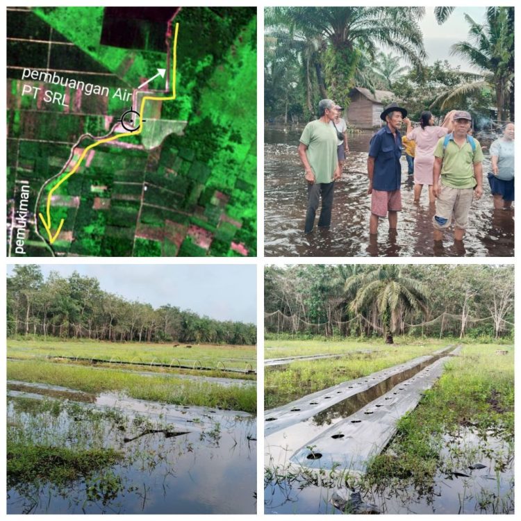 Kebanjiran di Kampung Sidomulyo: Antara Kebutuhan Perusahaan dan Ancaman Bencana yang Mengendam Kecemasan Masyarakat   