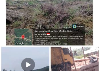 Maraknya Aktivitas PETI dan Illegal Logging di Kuantan Mudik Belum Mendapat Tindakan Nyata: Diduga Ada Pihak yang Melindungi