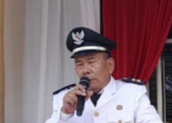 Dugaan Pungli Pajak di Tesso Nilo: Kades Air Hitam Diminta Klarifikasi