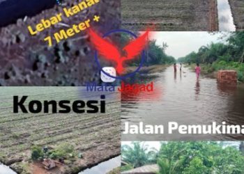Banjir Air Gambut Melanda Beberapa Titik di Kelurahan Batu Panjang, Masyarakat Desak PT SRL Tutup Kanal yang Mengarah ke Sungai Penebak