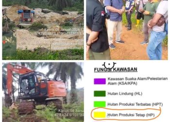 Bebasnya Ratusan Aktivitas PETI di Kawasan Hutan Produksi Tetap Kuantan Mudik Tuai Sorotan Publik