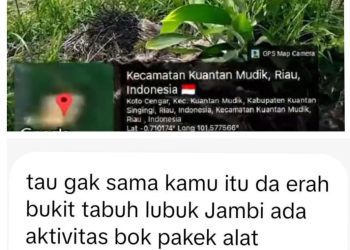 Selain Kawasan HP, Hutan Lindung Bukit Betabuh Dijarah Mafia PETI Diduga Dilindungi Oknum, Aktivitas Alat Berat Beroperasi Siang dan Malam