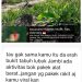 Selain Kawasan HP, Hutan Lindung Bukit Betabuh Dijarah Mafia PETI Diduga Dilindungi Oknum, Aktivitas Alat Berat Beroperasi Siang dan Malam