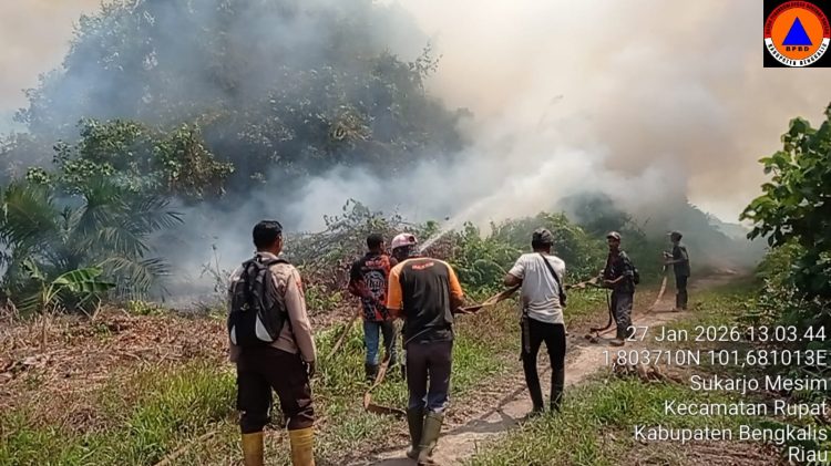 KEBAKARAN LAHAN DI SUKARJO MESIM, RUPAT, API MASIH BERKOBAR