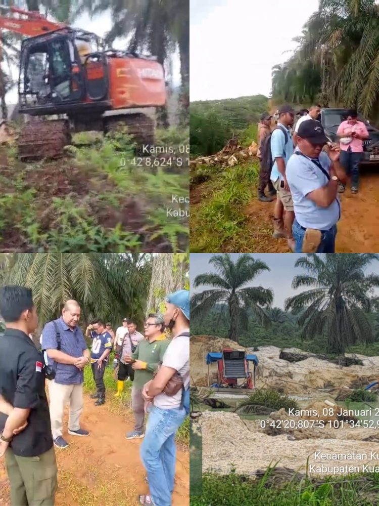 Bebasnya Ratusan Aktivitas PETI di Kawasan Hutan Produksi Tetap Kuantan Mudik Tuai Sorotan Publik