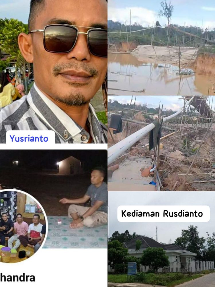 Diduga Terorganisir, Aktivitas PETI, Dalam Satu Tempat Penampung Hasilkan Sedikitnya 0,5 Kg Emas per Hari, Libatkan Jaringan Kuat dan Oknum Aparat