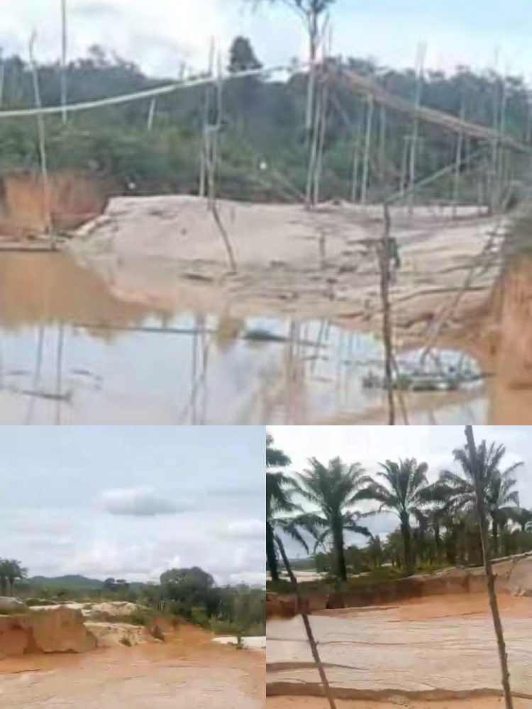 Diduga Kuasai Ratusan Rakit PETI, Inisial Davi Disebut Berperan dalam Distribusi Emas ke Pekanbaru