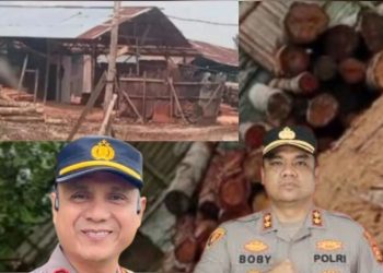 “Di Balik Sunyi Penegakan Hukum: Dugaan Jaringan Sawmill Ilegal Menggerogoti Hutan Kampar”