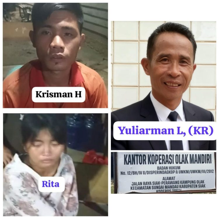 “Terkuak! Kebun Sawit Pemda di Siak Diduga Jadi Sarang Pelanggaran dan Skandal Moral”