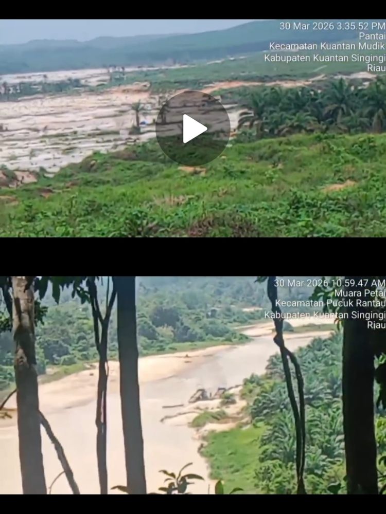 Lebih Dari 6 Bulan Beroperasi, PETI di Kuantan Wilayah Hukum Polsek Kuantan Mudik Tak Tersentuh Hukum: Siapa yang Bermain?