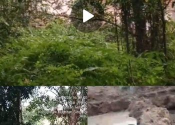 PETI Beroperasi Terang-Terangan di Jantung Kota Teluk Kuantan, Aparat dan Dinas Terkait Dipertanyakan