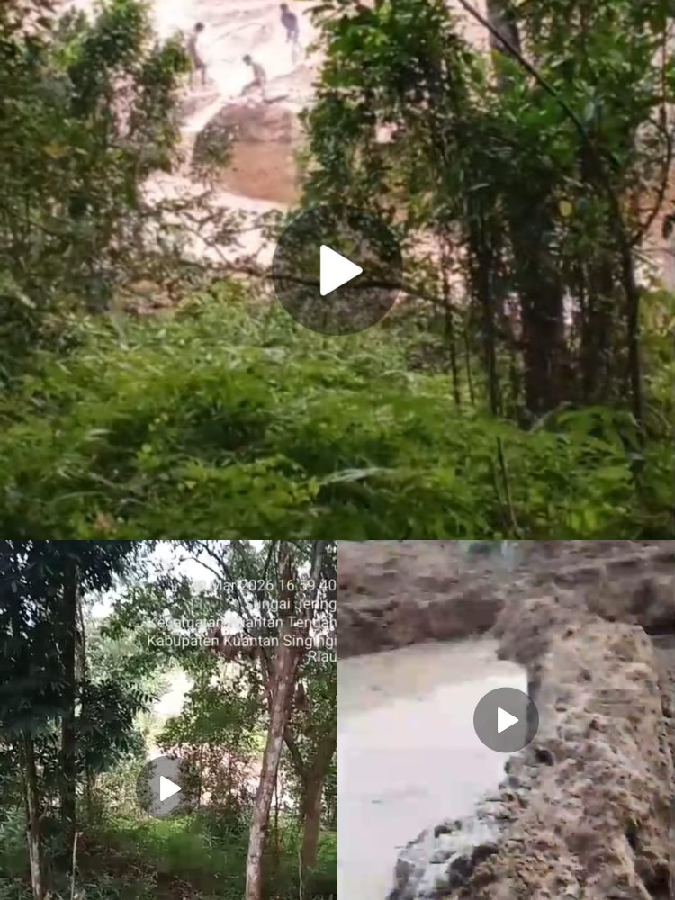 PETI Beroperasi Terang-Terangan di Jantung Kota Teluk Kuantan, Aparat dan Dinas Terkait Dipertanyakan