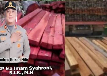 GURITA MAFIA KAYU ROHIL: KETIKA HUKUM DIDUGA BERNEGOSIASI DENGAN KEJAHATAN