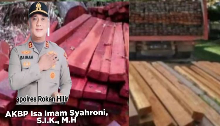 GURITA MAFIA KAYU ROHIL: KETIKA HUKUM DIDUGA BERNEGOSIASI DENGAN KEJAHATAN