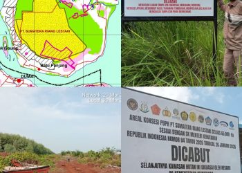 MASYARAKAT RUPAT SIAP AMBIL ALIH DAN MANFAATKAN AREAL EKS HTI PT. SRL