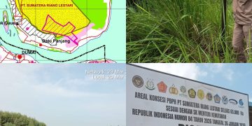 MASYARAKAT RUPAT SIAP AMBIL ALIH DAN MANFAATKAN AREAL EKS HTI PT. SRL