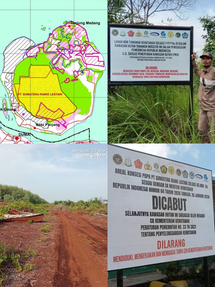 MASYARAKAT RUPAT SIAP AMBIL ALIH DAN MANFAATKAN AREAL EKS HTI PT. SRL